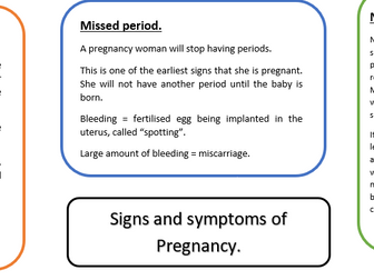Child Development - Pregnancy