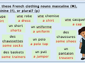 French Uniform and Colour