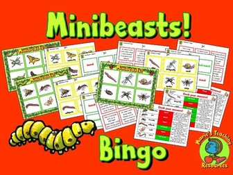 Minibeasts – Bingo