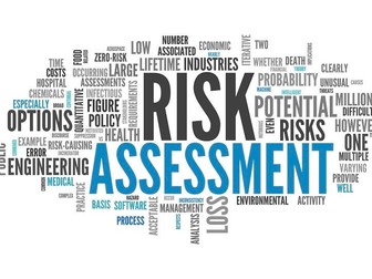 5 Point Risk assessment - Presentation with some examples