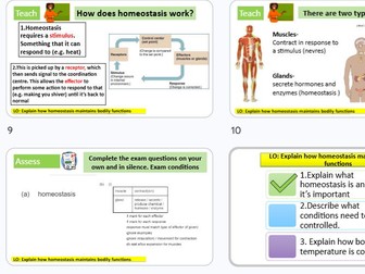 Homeostasis GCSE AQA combined science biology