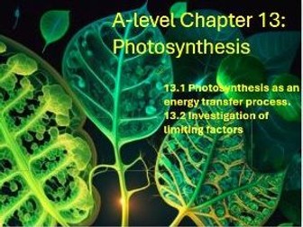 A Level Biology: Photosynthesis (Chapter 13)