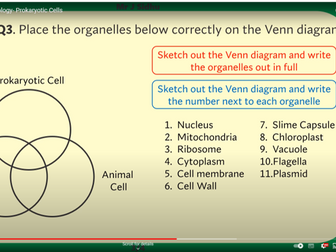 Flipped Classroom: GCSE Biology- Prokaryotic Cells