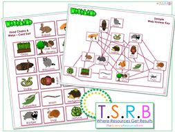 British Woodland Food Web/Chain Card Sort (Inc. Answer) | Teaching ...