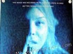 White Noise