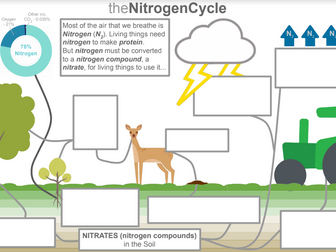 Nitrogen Cycle Poster Task + Questions