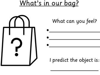 What's in the bag? Activity and vocab.