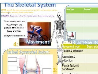 Btec Sport 2016 NEW SPEC UNIT 1- Learning Mat - A: Skeletal System