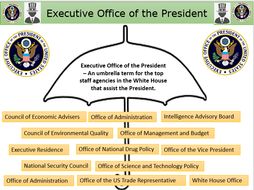 Executive Office Of The President Also Focus On Exop V Cabinet