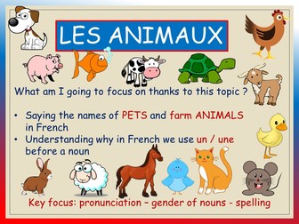 PETS AND FARM ANIMALS_vocab & pronunciation KS1-KS2 (audio included)