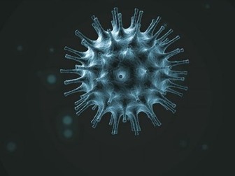 Coronavirus (Covid-19) Lesson