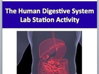The Human Digestive System - 7 Engaging Lab Station Activities