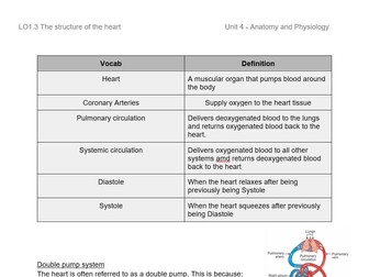 Unit 4  L01 The Cardiovascular system fact sheets - CTECH HSC