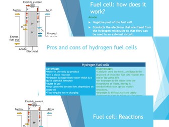 Chemical Cells and Fuel Cells - A Short Interactive Presentation