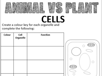 Animal Vs Plant Cell Summary Worksheet