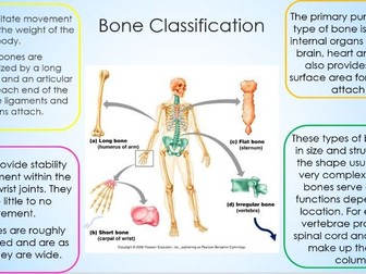 Edexcel - GCSE PE - Year 1 - PowerPoint