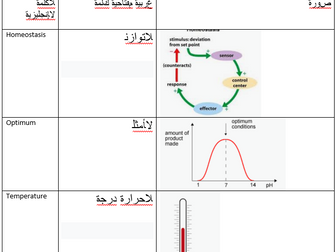 AQA GCSE Homeostasis Keywords Arabic