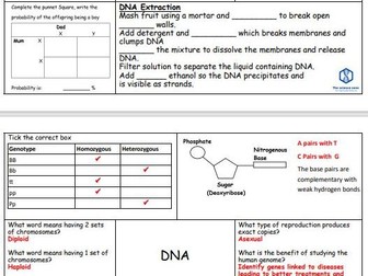 B3 DNA & Genetics Revision Mat – Master GCSE Inheritance with This Interactive Resource!