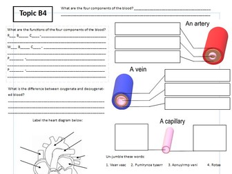 B4 Organising Animals and Plants Worksheet/Powerpoint