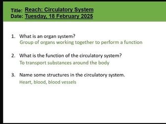 Reach - Circulatory system