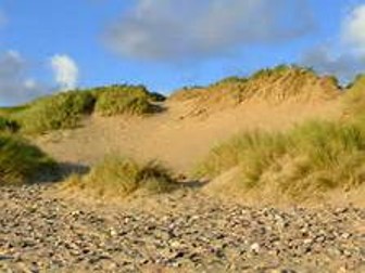 introduction to sand dunes