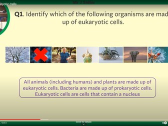 Flipped Classroom: GCSE Biology- Eukaryotic cells