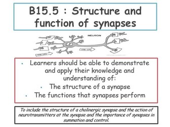 15.5 Structure and function of synapses and 15.6 transmission across synapses