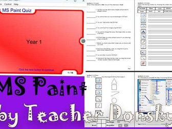MS Paint Assessment for Year 1