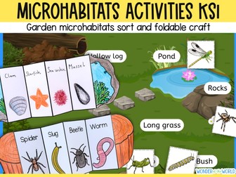 Microhabitats science activities KS1 - minibeast sorting and foldout craft