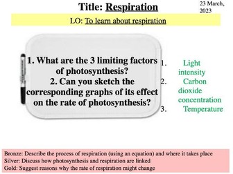 Year 8 Science Biology - Respiration