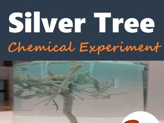 Silver Tree Chemical Experiment (Back to School Activities)