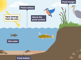 Fresh water pond case study