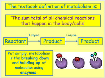 AQA Biology Unit 4 - L4 Metabolism