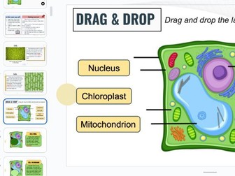 Cambridge Lower Secondary Unit 1.  Cells (Plant Cell, Animal Cells and Specialised Cells)