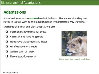 KS3 Biology: Animal Adaptations