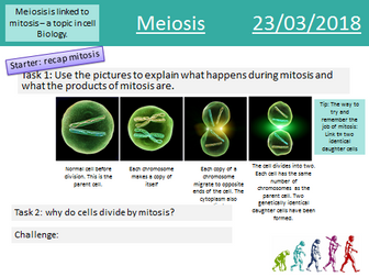GCSE Biology Meiosis