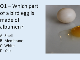 Easter Science Quiz 2019
