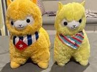 WSC Debating Starter Guide