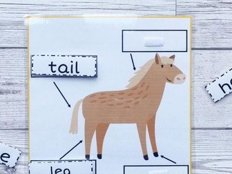 Horse Labelling - Phonics fun