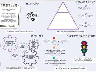 Metacognition Plenary Slides