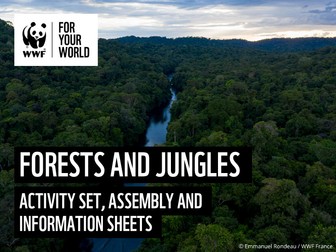 Our Planet: Forests and Jungles - KS2 & KS3 Activity Set
