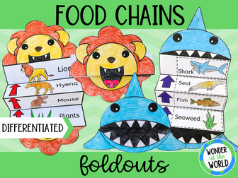 Food chains foldouts KS1 (shark, grizzly bear, lion)