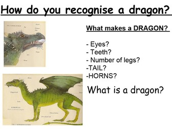 Instruction text:How to recognise a dragon