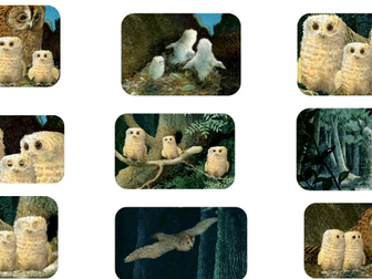 Owl Babies script and sequencing - ppt and cut and stick - EYFS or Year 1