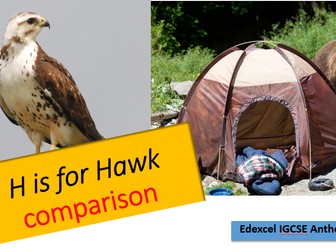 'H is for Hawk' edexcel IGCSE anthology comparison lesson and activity