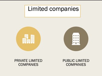 Limited companies and multinationals