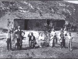 Card Sort: How did Homesteaders survive on the Great Plains?
