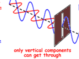 AQA AS Level Physics - Waves - Polarisation