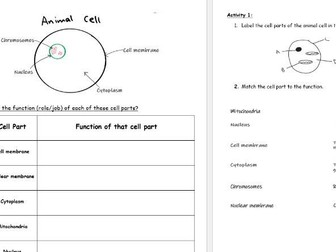 CCEA Double Award Biology Notes Unit 1 Topic 1 Cells