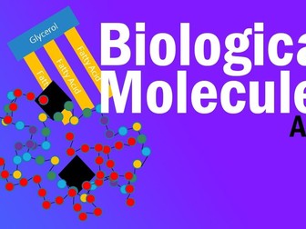 AQA Biological Molecules - BUNDLE